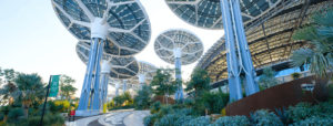 U.S. Climate Alliance @ COP28 | Subnational Leaders Supercharging Climate Action Across America
