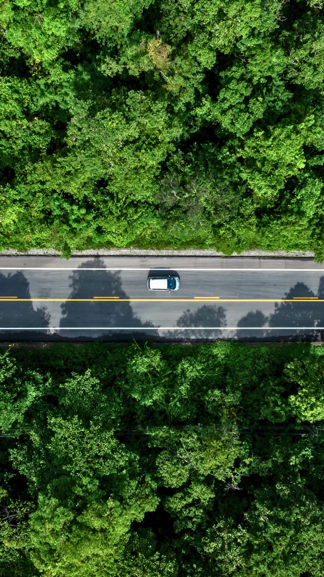 11 Alliance governors launched the Affordable Clean Cars Coalition on May 2025.